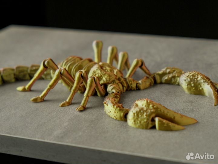 Скорпион