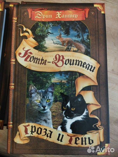Коты - воители. Эрин Хантер. Несколько циклов