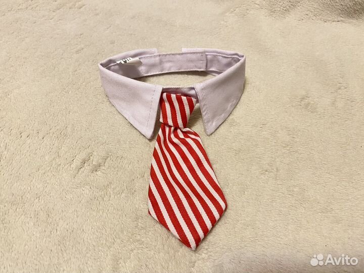 Галстук для собак