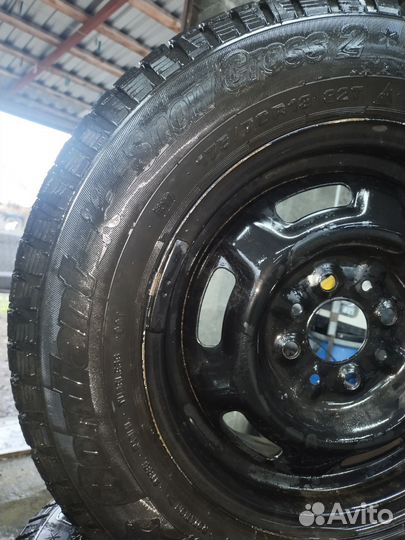 Cordiant Snow Cross 2 175/70 R13