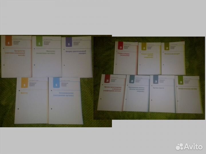 2 книги в методичках М.Р. Сапин, Г.Л. Билич