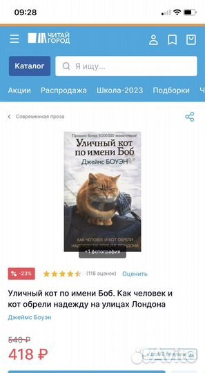 Книга «Уличный кот по имени Боб«