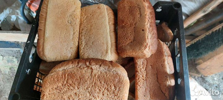 Корм для животных