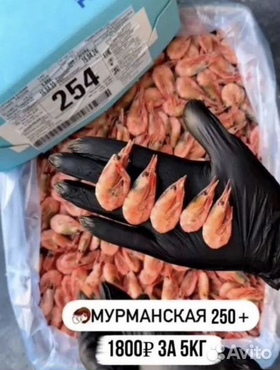 Северные креветки 250+ Мурманск