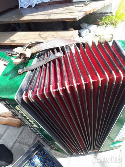 Аккордеон Берёзка