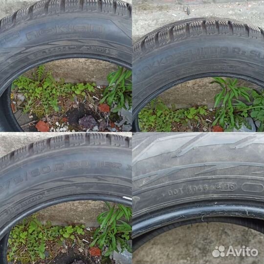 Nokian Tyres Hakkapeliitta R2 SUV 275/50 R20 113R