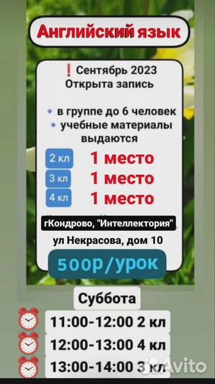 Английский язык 2-4 класс