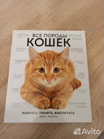 Все породы кошек