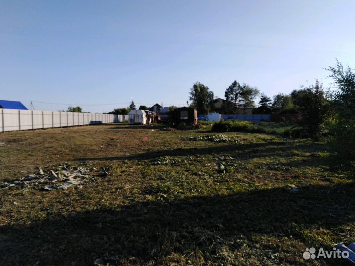 Покос травы тримером, опиловка деревьев