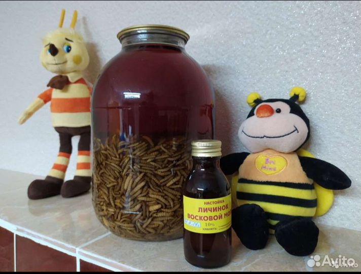 Продукты пчеловодства