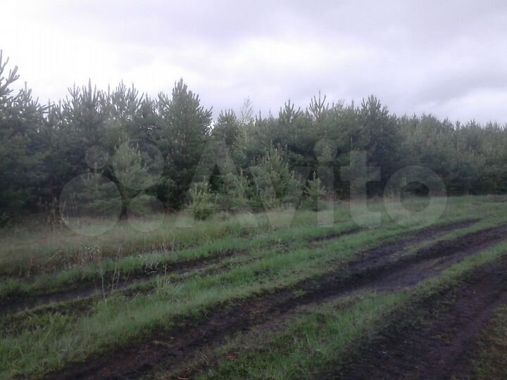 Участок 1,94 га (СНТ, ДНП)