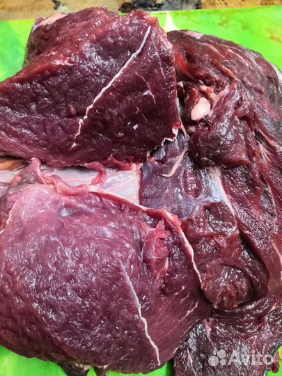 Говядина и субпродукты для животных