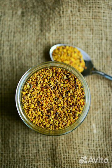 Пыльца