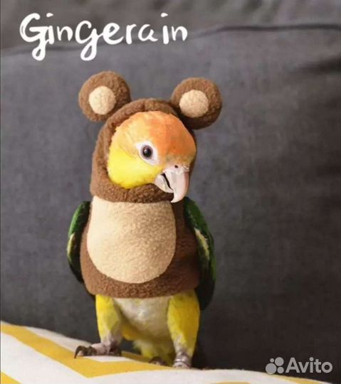 Одежда для попугая, кормушка, купалка