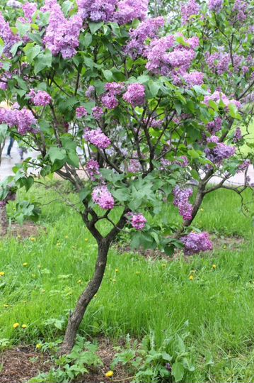 Дом 23 м² на участке 30 сот.