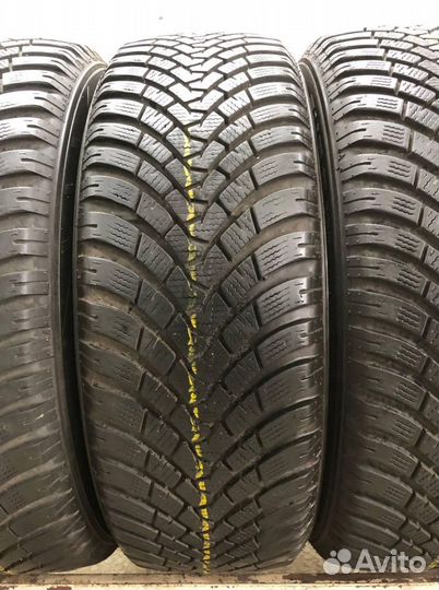 Falken Eurowinter HS01 205/60 R16 98W