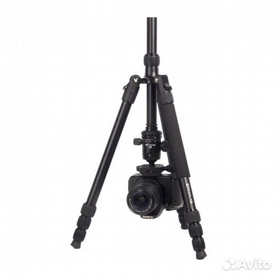 Штатив алюминиевый сплав (с головой) Raylab Pro 70