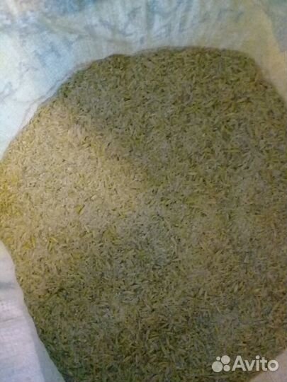 Зерно корма комбикорма