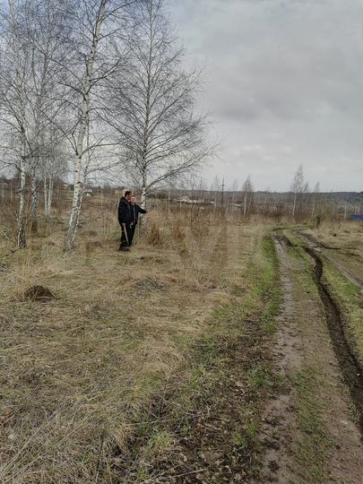 Участок 10 сот. (ИЖС)