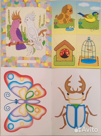 Школа семи гномов 2+