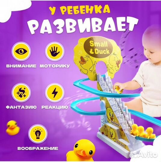 Бегающие утки