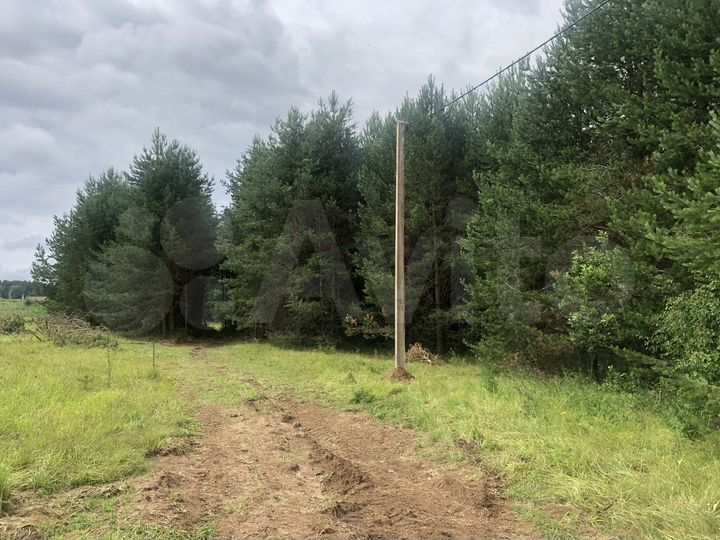 Участок 16,1 сот. (ИЖС)