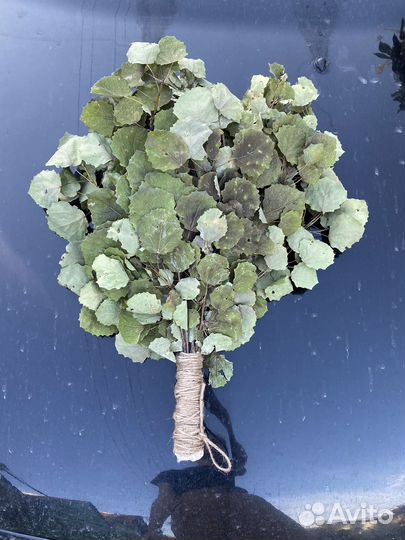 Веники для бани 2023