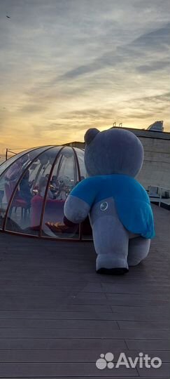 Мишка поздравление