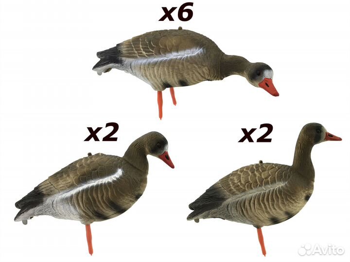 Чучела белолобых гусей для охоты 10 штук комплект