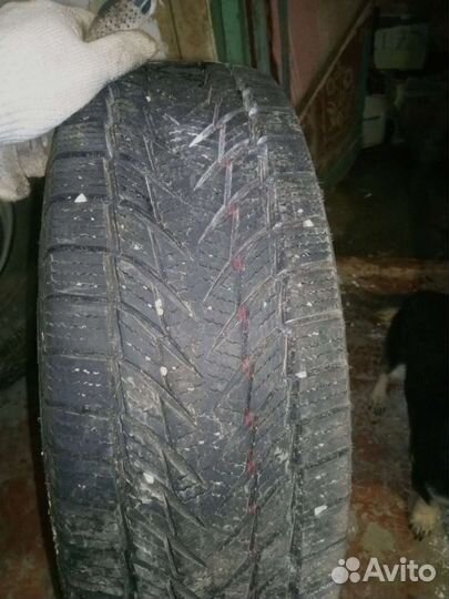 Joyroad Winter RX808 195/65 R15