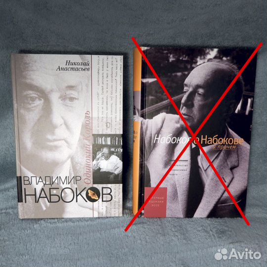 Николай Анастасьев о Владимире Набокове