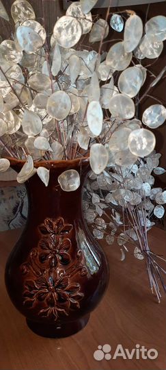 Семена Лунария