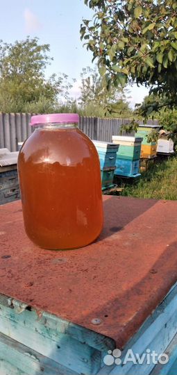 Мёд со своей пасеки