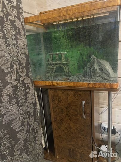 Аквариум