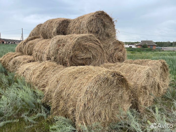 Сено в рулонах