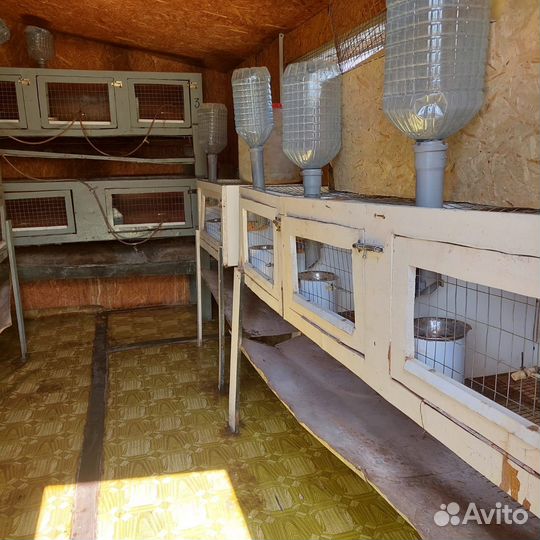 Клетка для кроликов