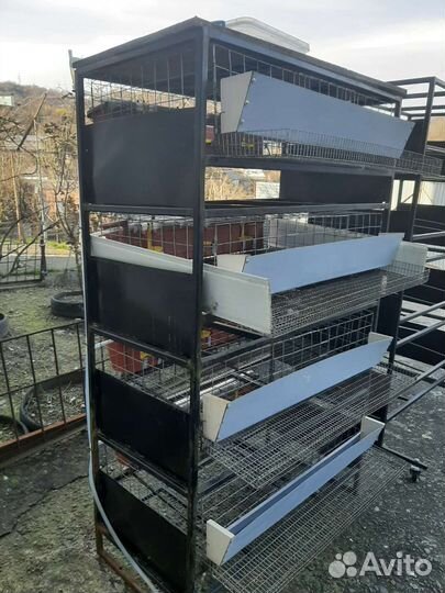 Клетка для перепелов 4 ярусная