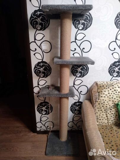 Когтеточка и лежанка для кошек