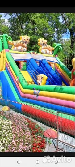 Надувной батут Тигриная страна