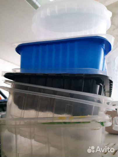 Контейнеры для рассады