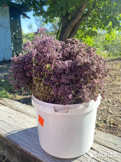 Трава матрешка