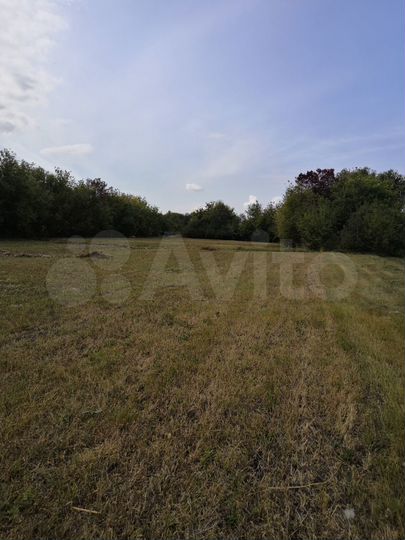 Участок 48 сот. (ИЖС)