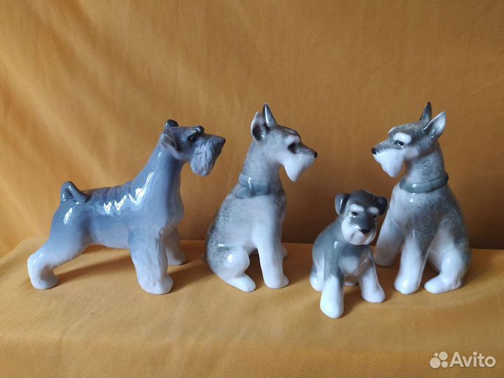 Коллекция шнауцеров ризен, миттель, цверг