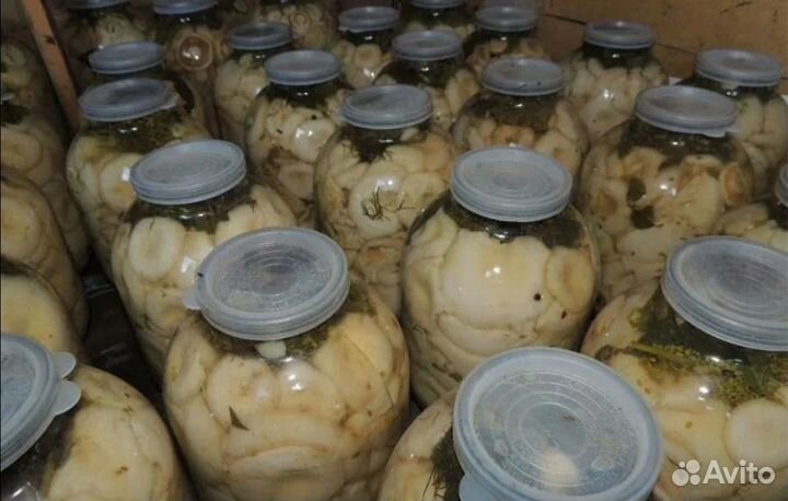 Грибы солёные грузди