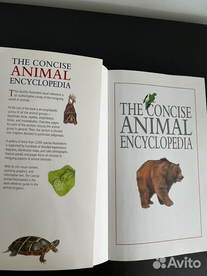 Книга о животных на английском Animal Encyclopedia