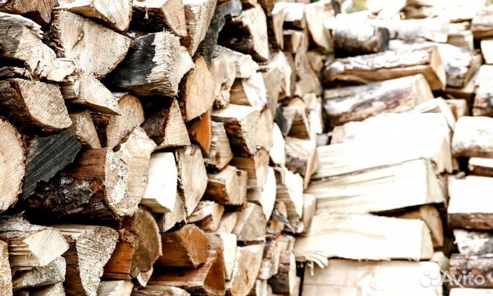 Дрова образцовые