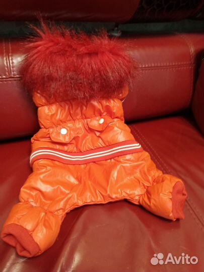 Зимний комбинезон для маленькой собачки