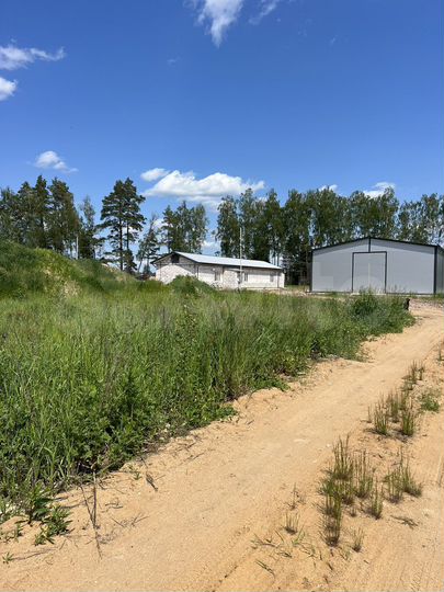 Свободного назначения, 500 м²