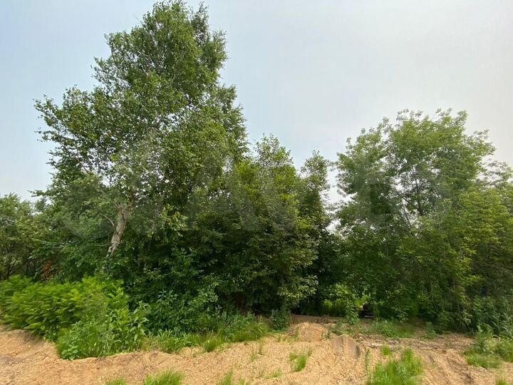 Участок 16 сот. (СНТ, ДНП)