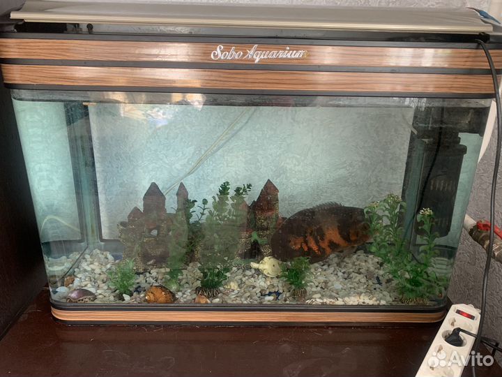 Аквариум с тумбой